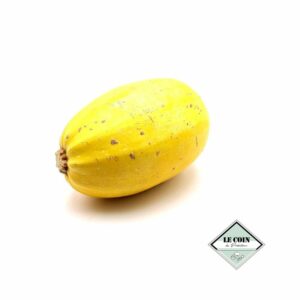 Courge spaghetti (la pièce)